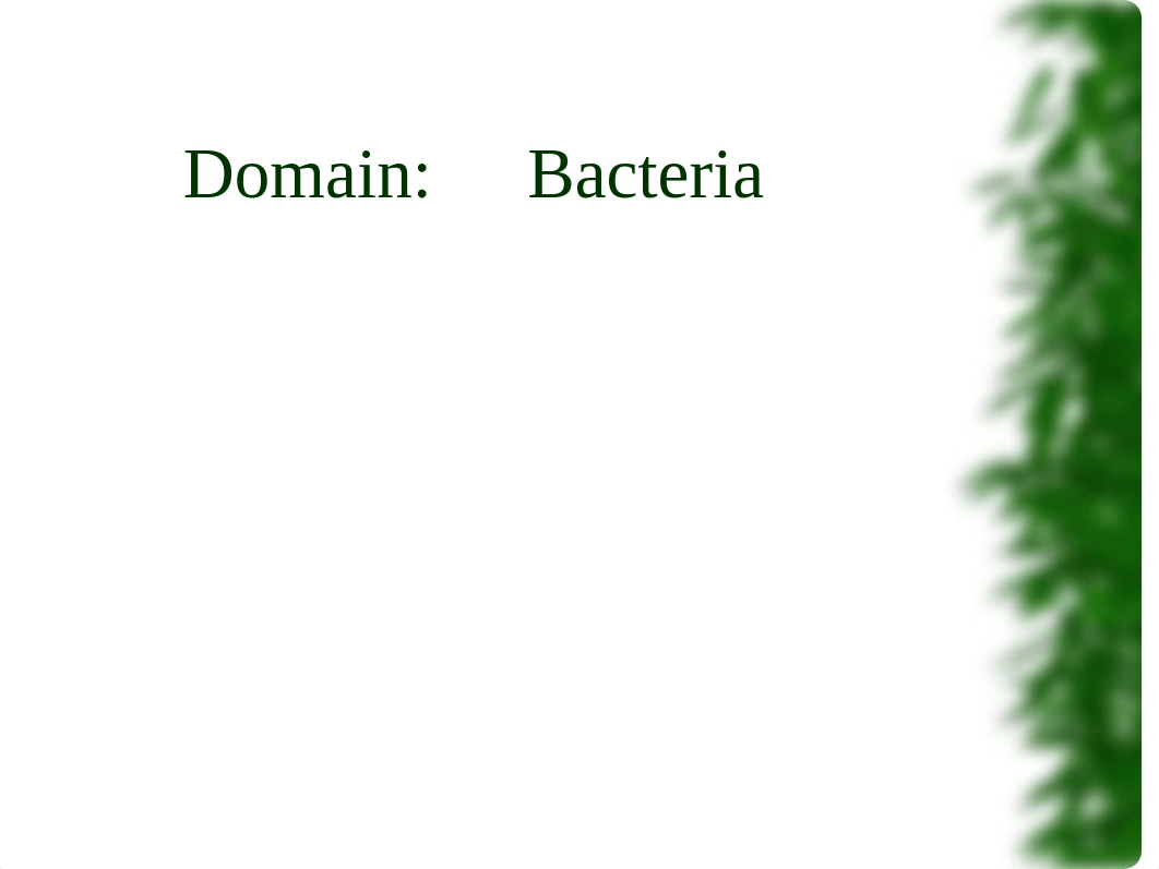 Prokaryotes - Taxonomic Hierarchy.ppt_dgqdwtngs5k_page5