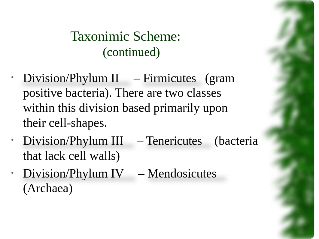 Prokaryotes - Taxonomic Hierarchy.ppt_dgqdwtngs5k_page4