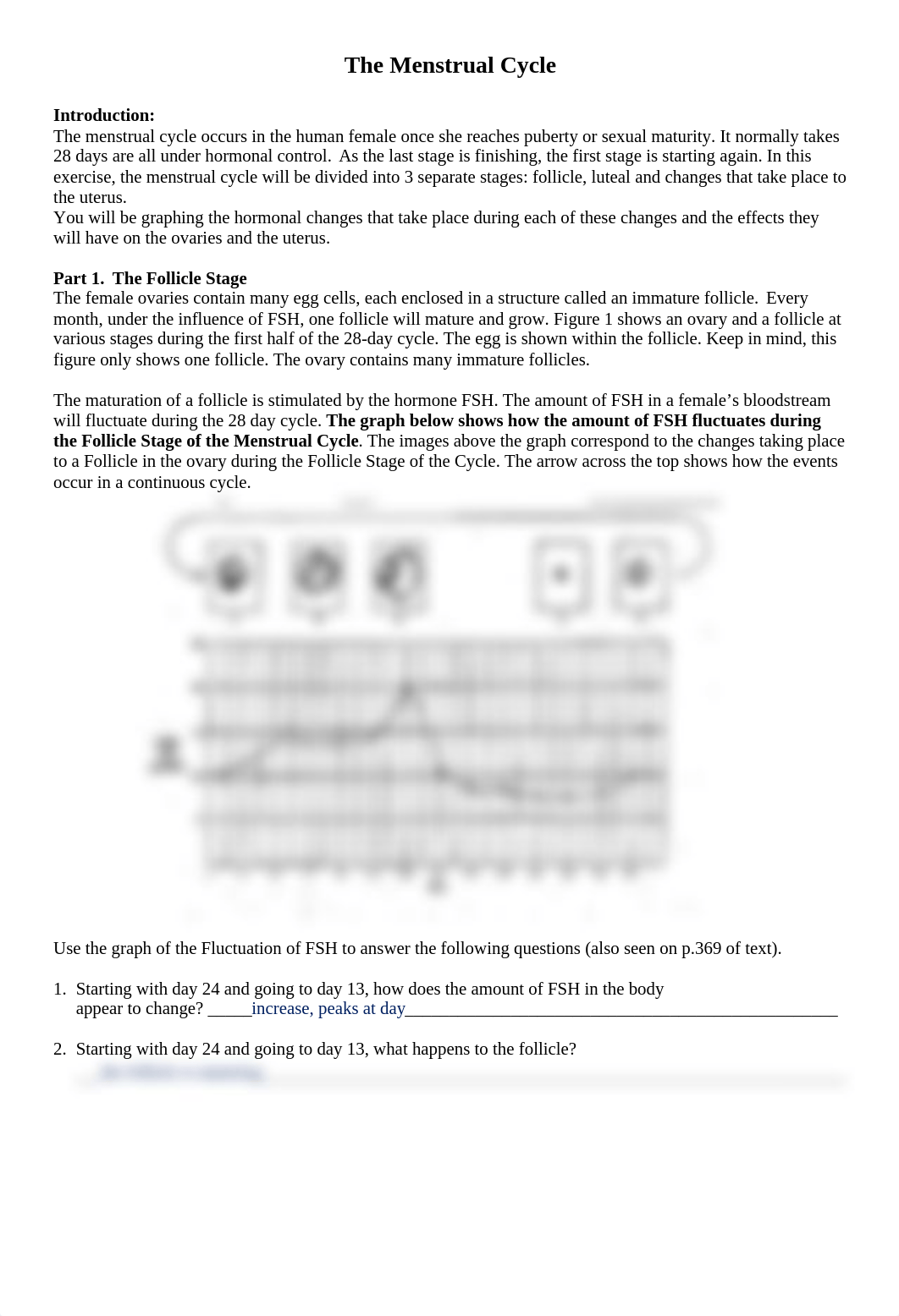 The_Menstrual_Cycle.docx_dgqemhvsw1w_page1