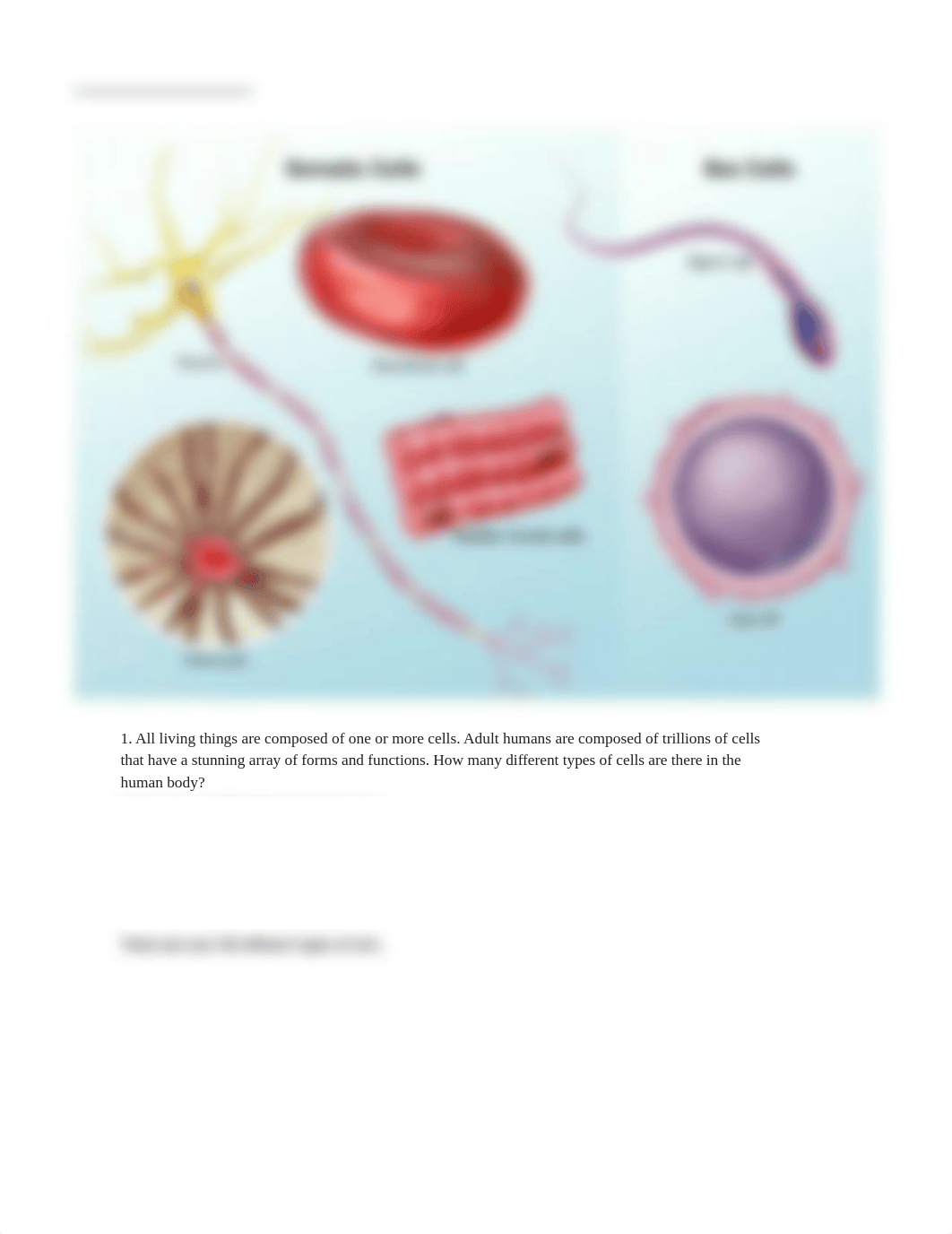 lab manual_cells_a+p EP1.pdf_dgqfsl13cio_page4