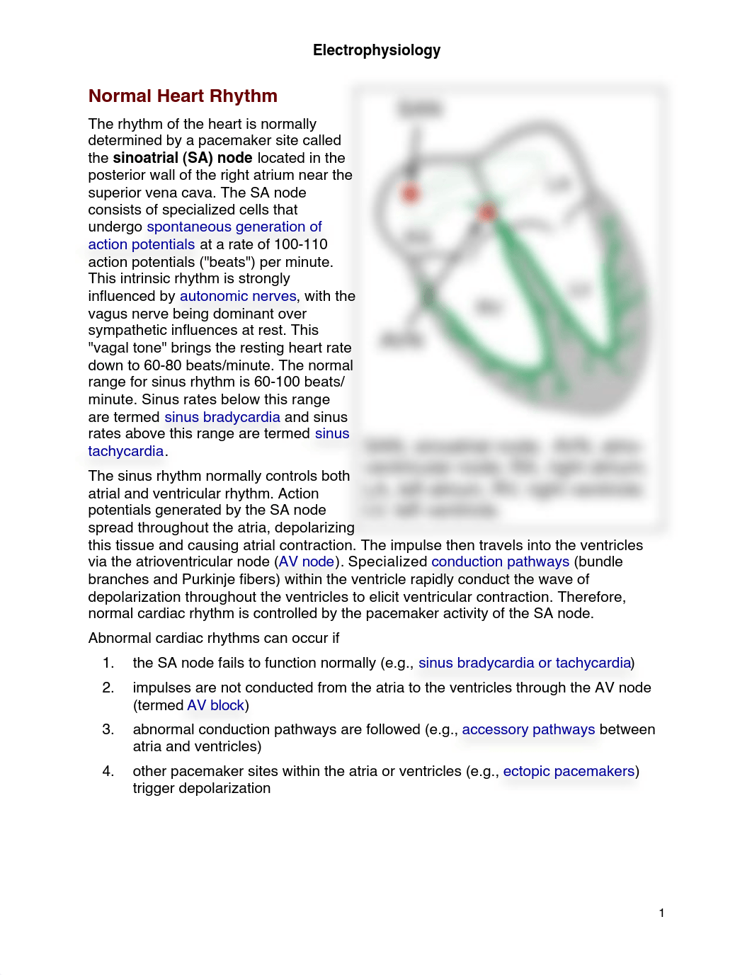 Electrophysiology_dgqiuty2ljn_page1