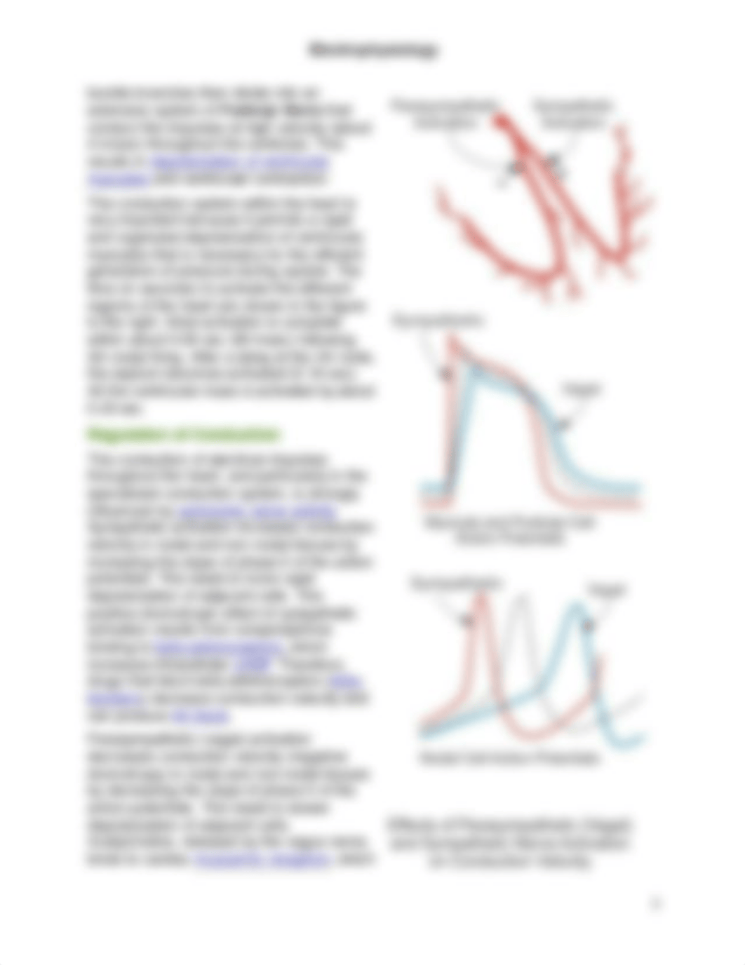 Electrophysiology_dgqiuty2ljn_page3