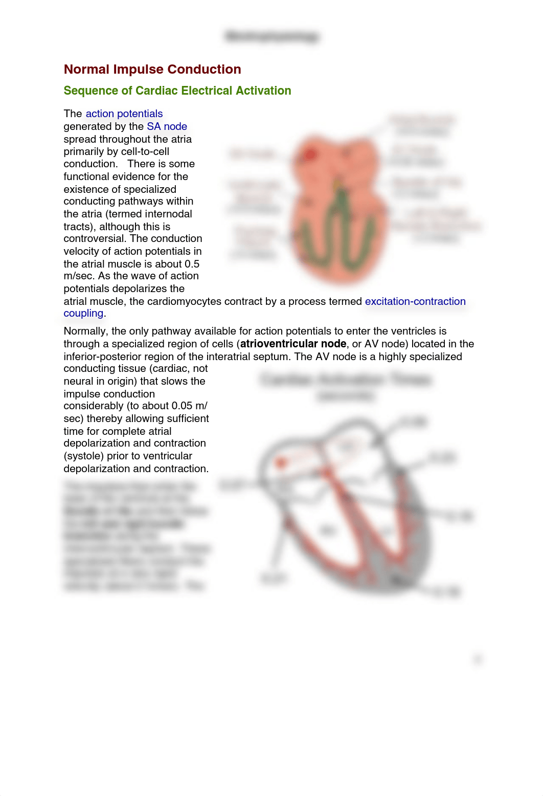 Electrophysiology_dgqiuty2ljn_page2