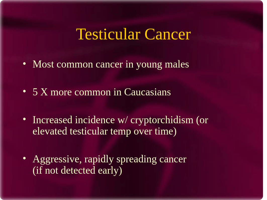 male self exam and cancer prevention_dgqjxrgroq7_page2