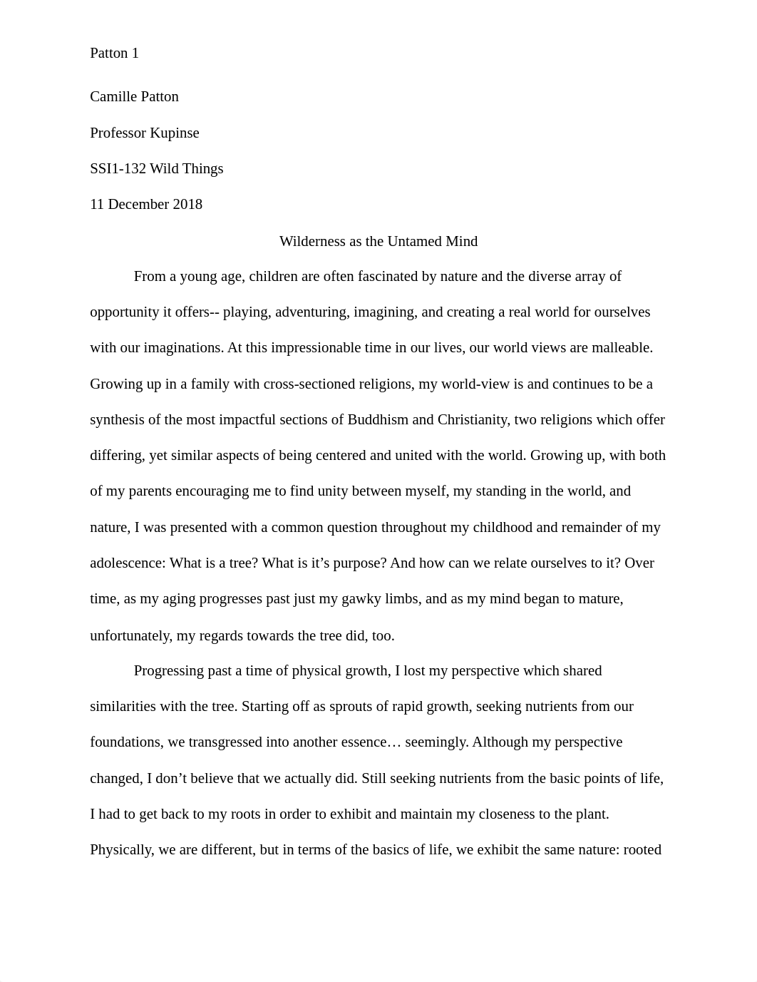 Wild Things - final essay .docx_dgqnuszomkm_page1