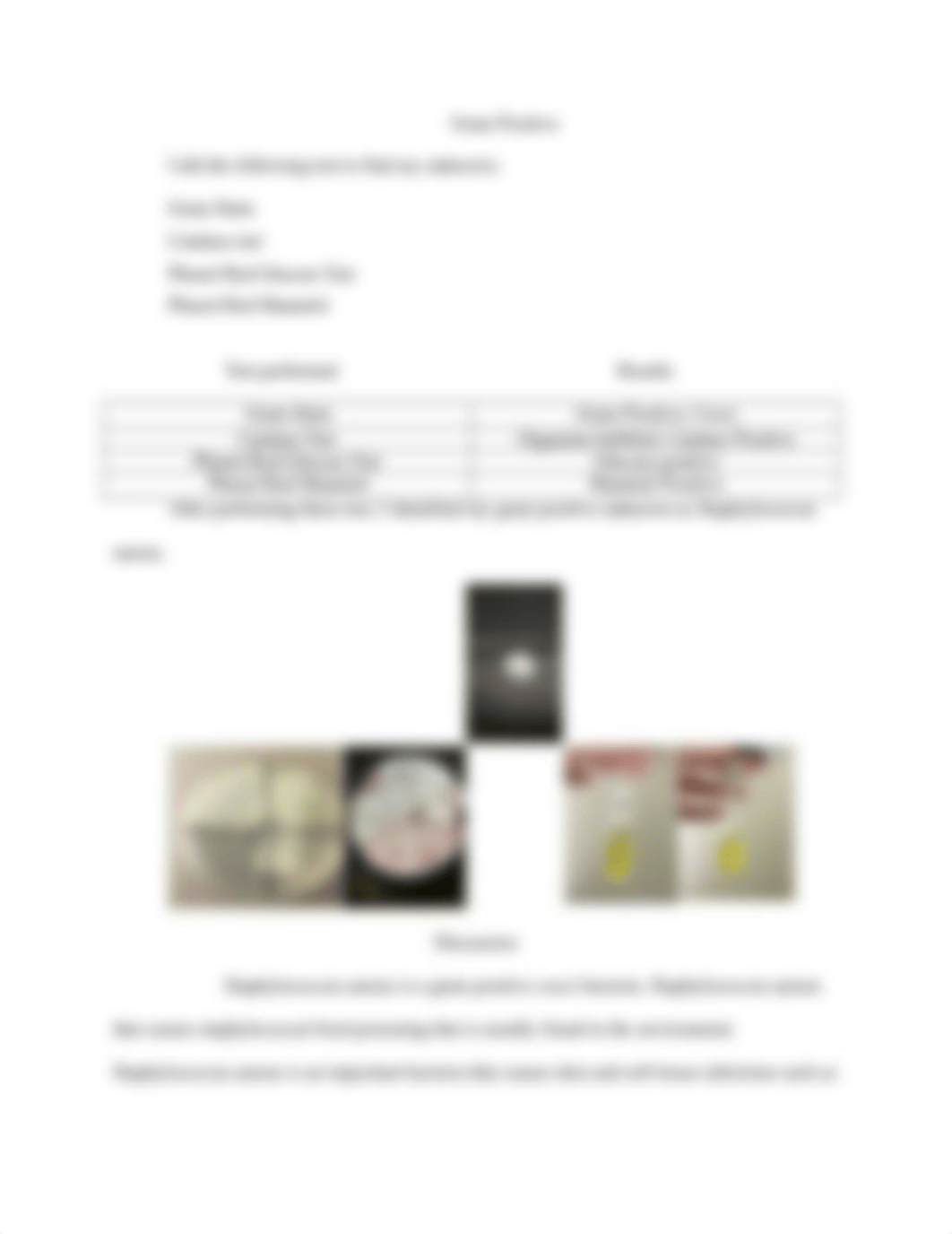 Microbiology Unknown Study gram pos_dgqor9zeuy3_page3