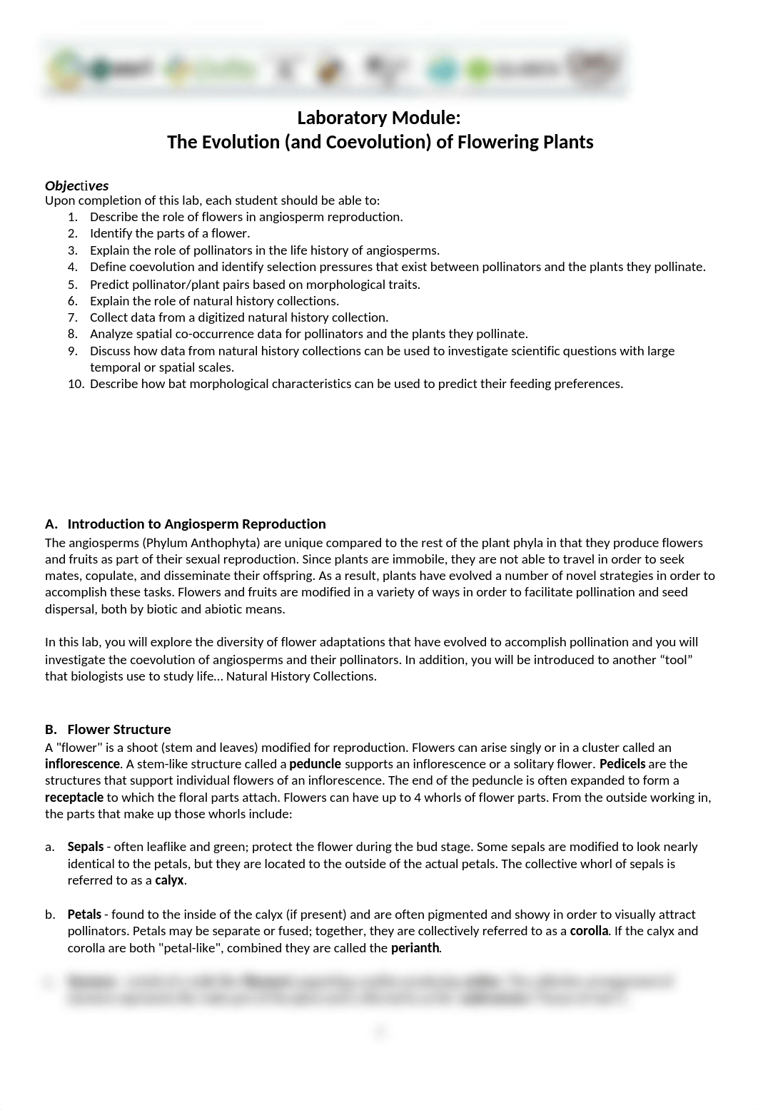 Angiosperm_Coevolution Handout_Spring 2021 (1).docx_dgqqmhqlukn_page1