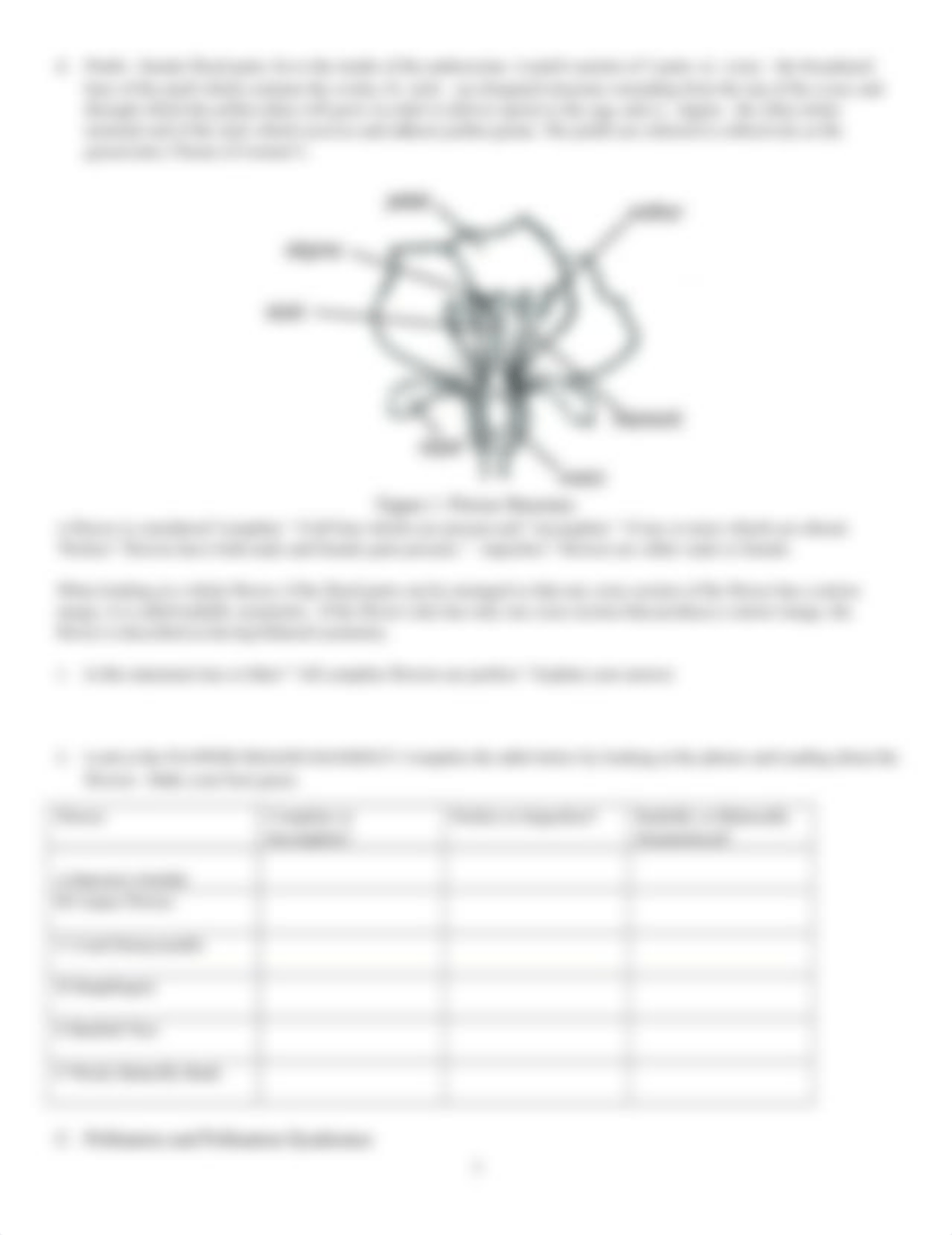 Angiosperm_Coevolution Handout_Spring 2021 (1).docx_dgqqmhqlukn_page2