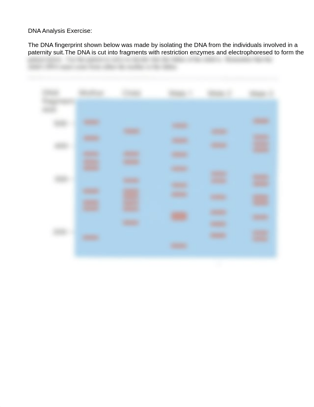 DNA Analysis Exercise_dgqr6jklgze_page1