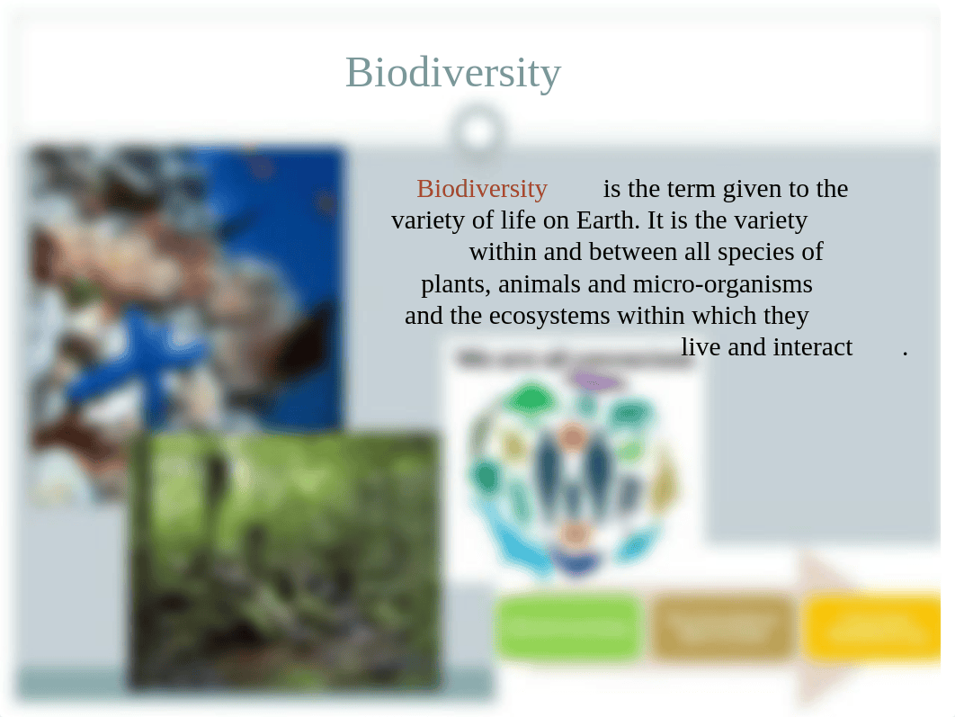 Biodiversity and Conservation Biology.pptx_dgqtxsg8lne_page2