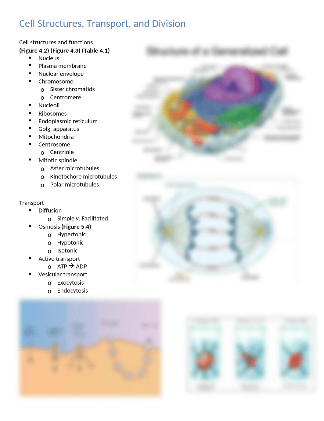 Cell Anatomy and Division.docx_dgqu7b998ot_page1