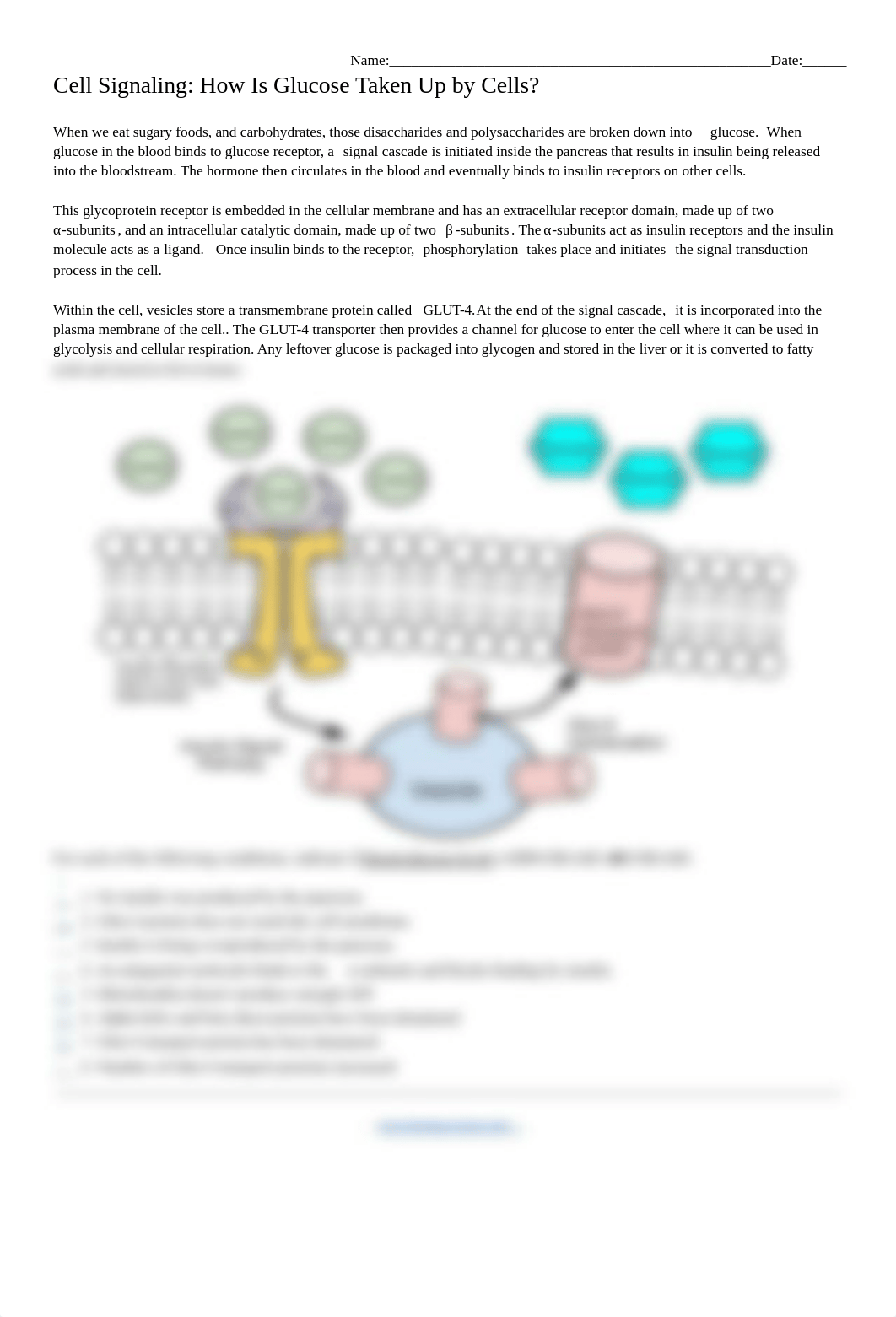 John Walsh - Copy of Cell Signaling - How Is Glucose Taken Up by Cells.Kami.pdf_dgr61eqs6ar_page1