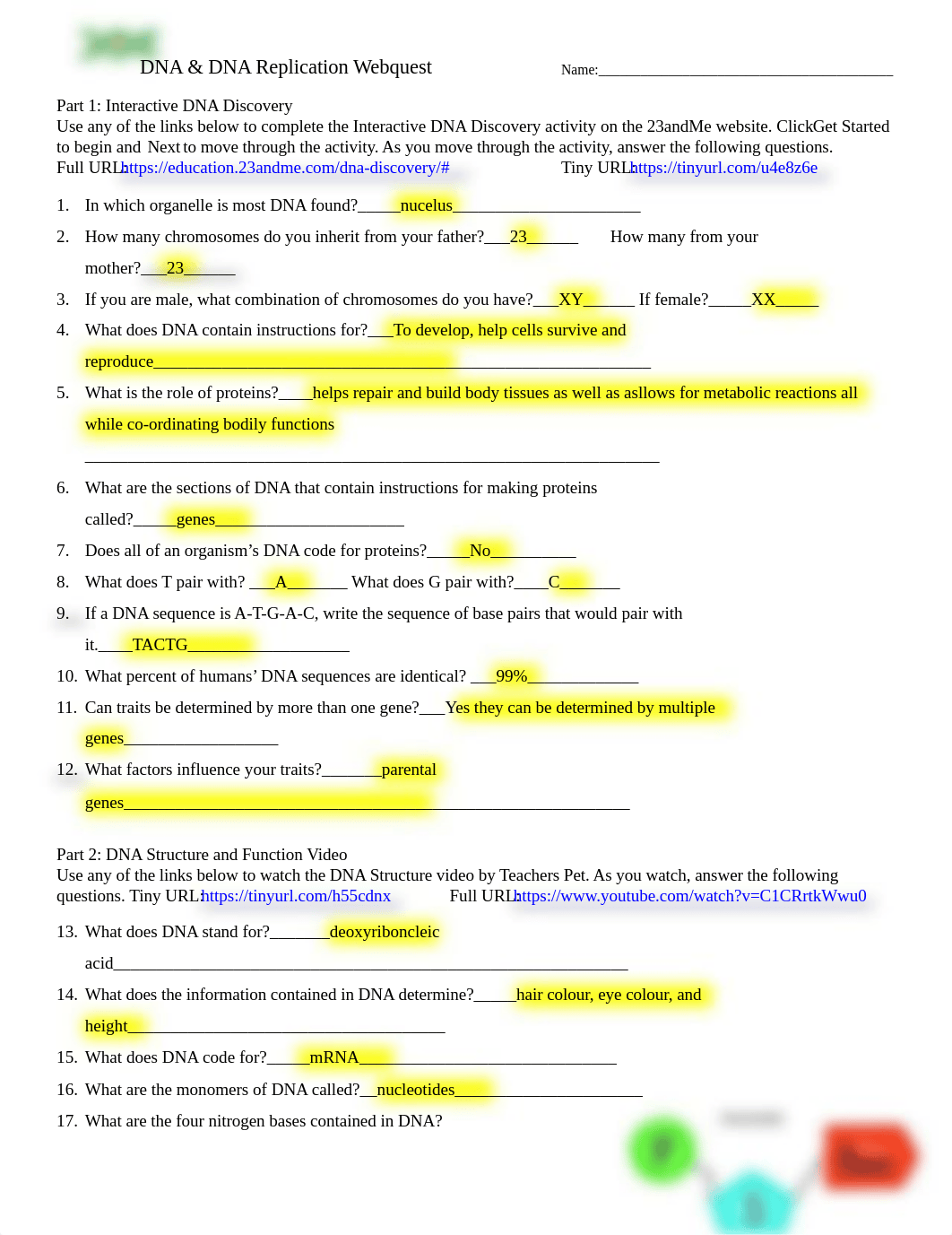 Veronica Casais - DNA and DNA Replication Webquest.pdf_dgr6w59vx5h_page1