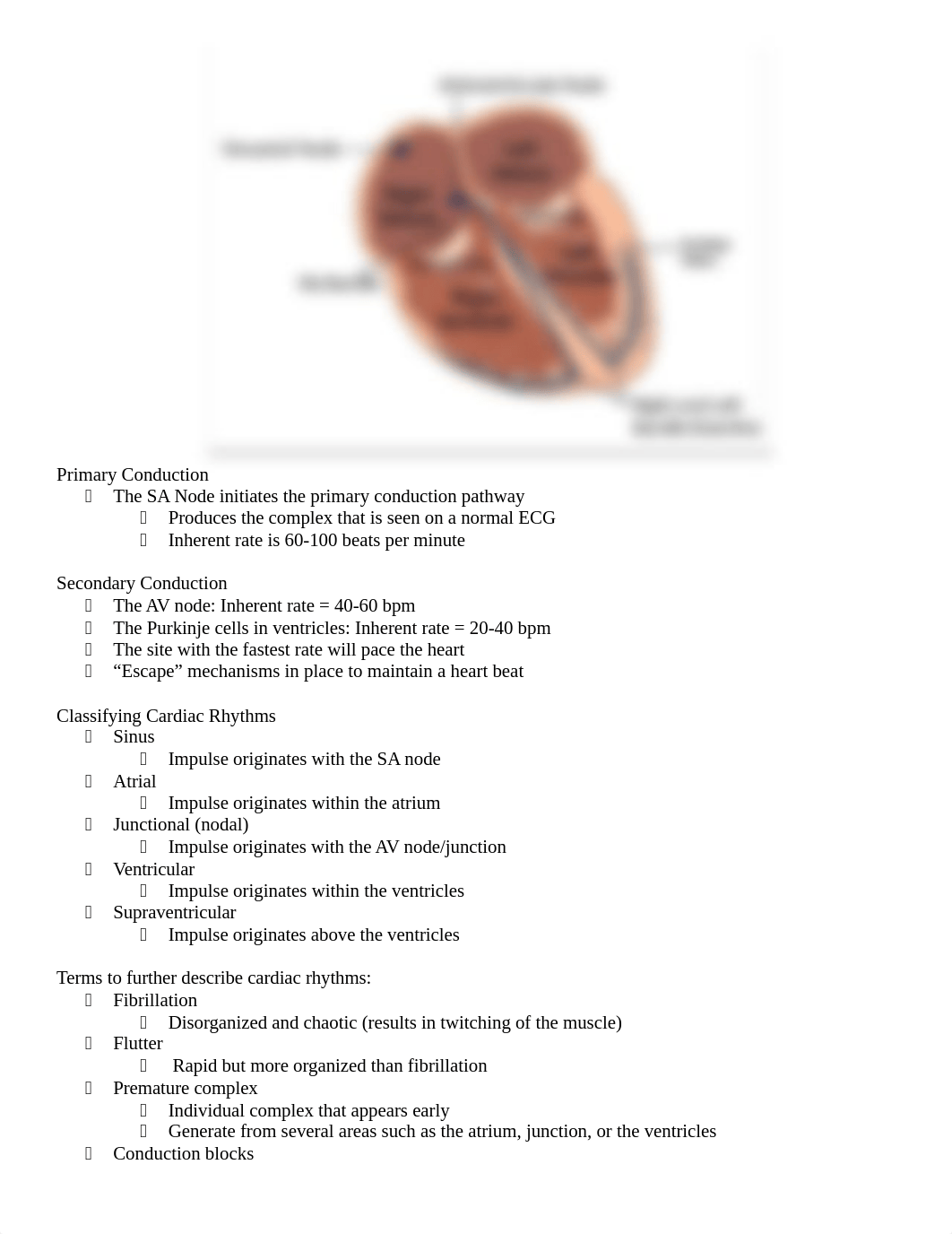 CardiacDysrhythmias.docx_dgr78bf3c9w_page2