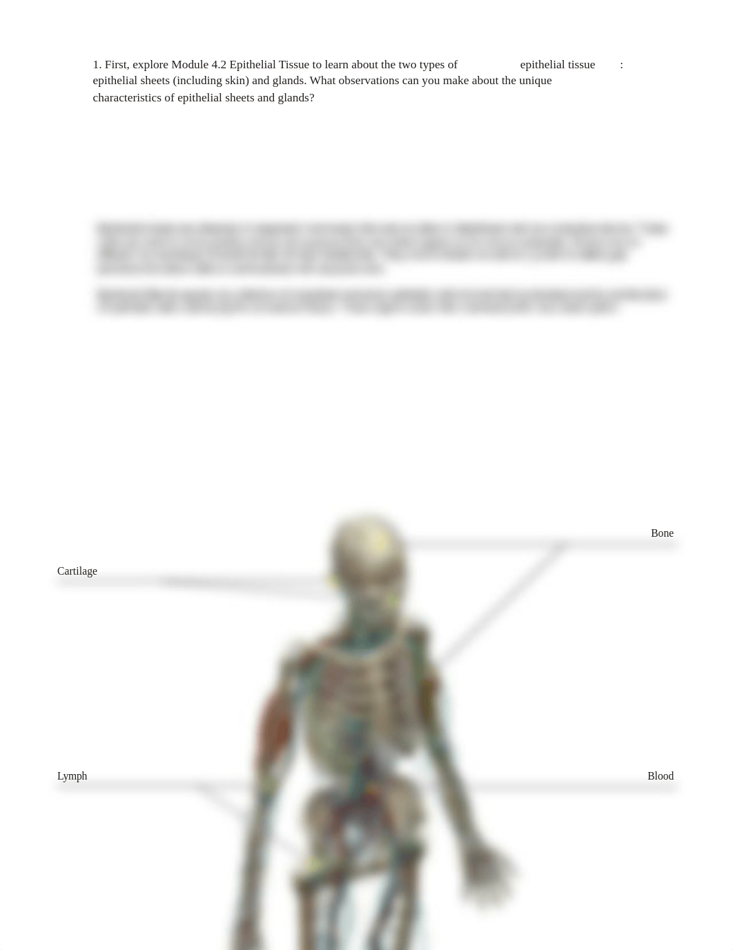 lab manual_tissues_.pdf_dgrjz9ju9y9_page5