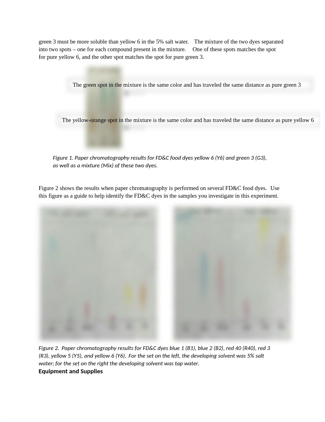 Chromatography Home Lab.docx_dgry5qcadge_page2