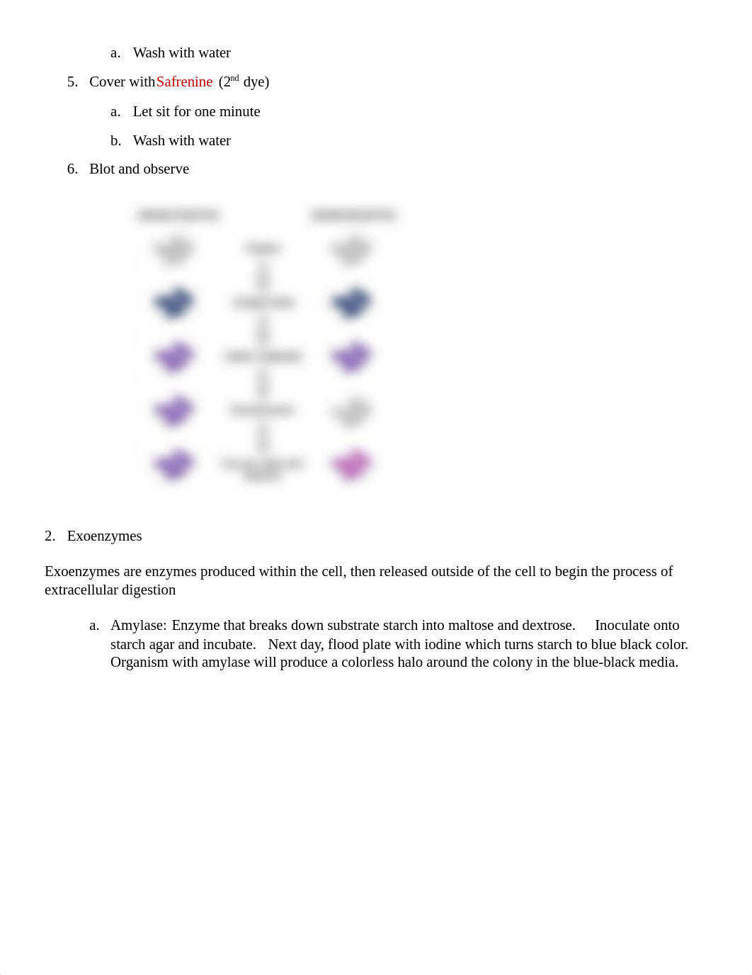 LabPracticalStudyGuide--SP (2).docx_dgs05ostl5g_page2