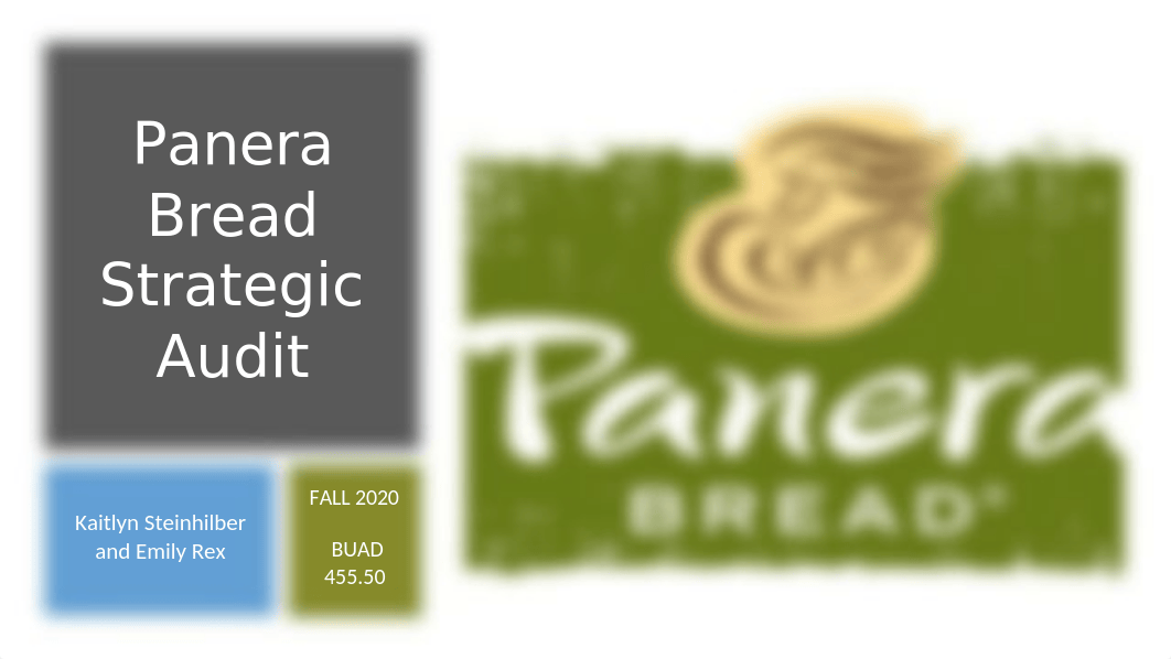 Panera Bread Strategic Audit powerpoint.pptx_dgs1nwb13pp_page1