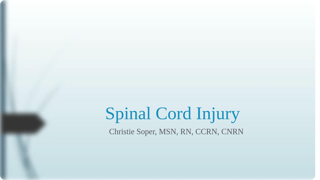 Spinal Cord Injury power point-cs.pptx_dgs4n3zyhjh_page1