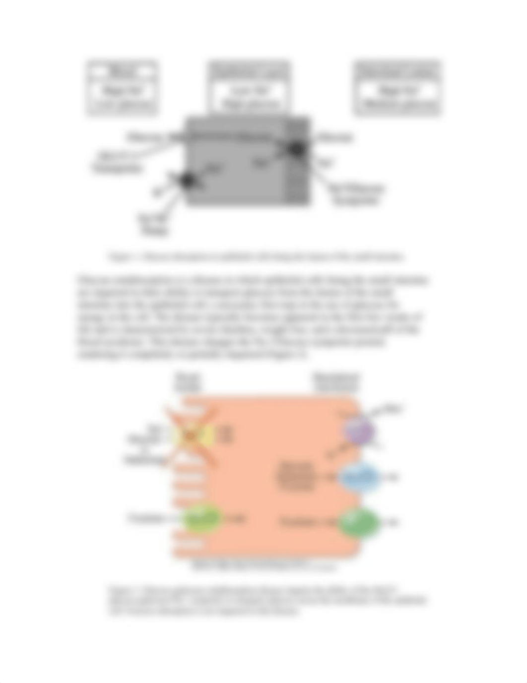 Quiz 2_Bio 111 FA2018_STUDENT version.pdf_dgs7dnrsjuf_page2