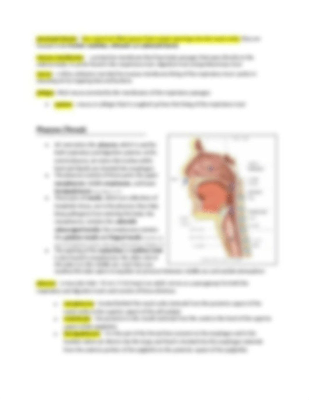 CH 7 RESPIRATORY SYSTEM - Hlth 125 SP18.docx_dgs8pr0us4c_page4