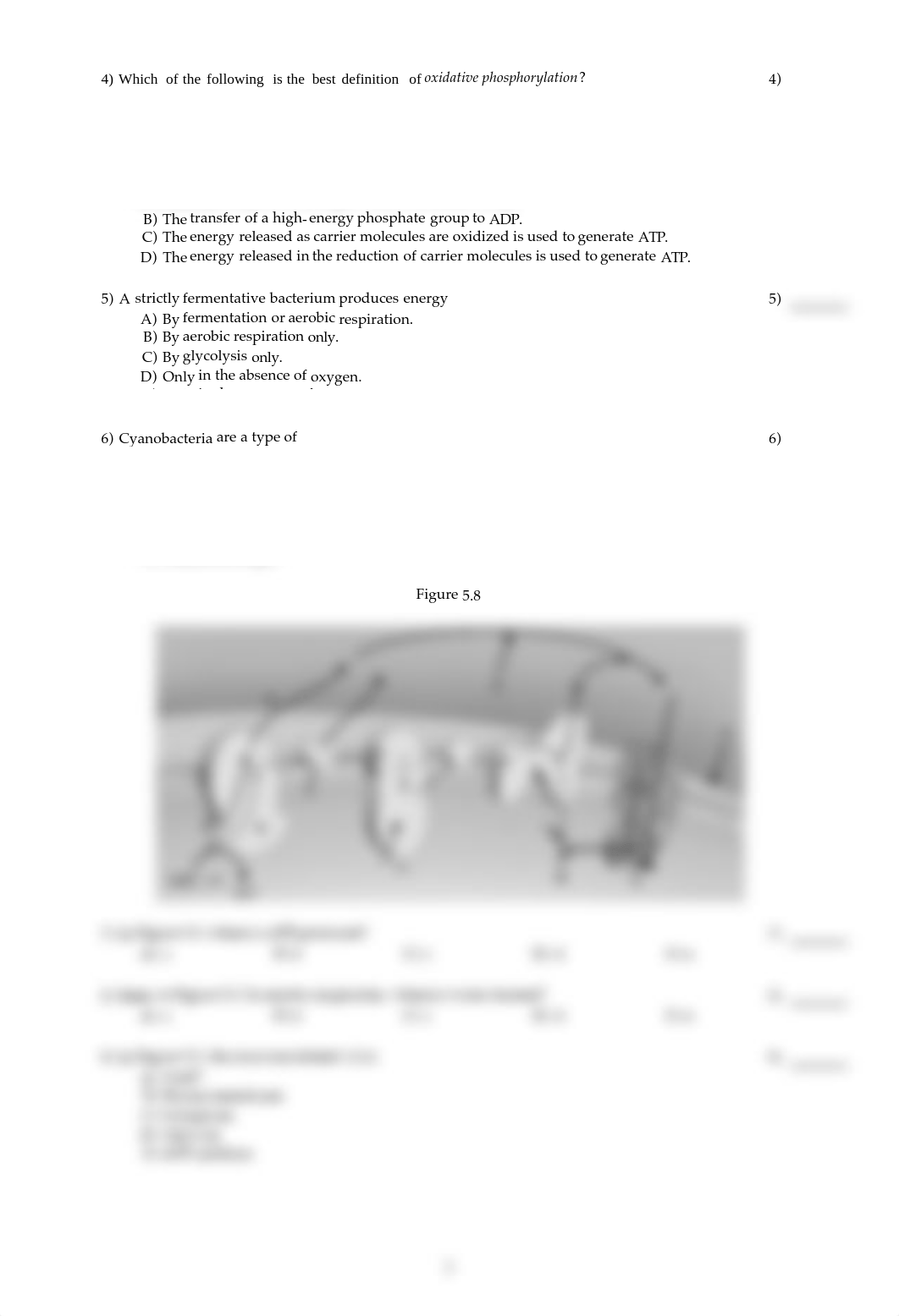 Chapter 5 practice test micro.pdf_dgsbxnagd79_page2