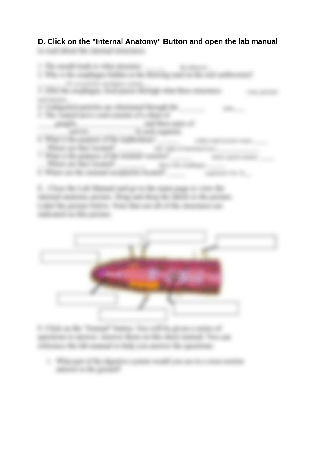 earthwormdissectiondatasheet (1).docx_dgscdsk1y6z_page2