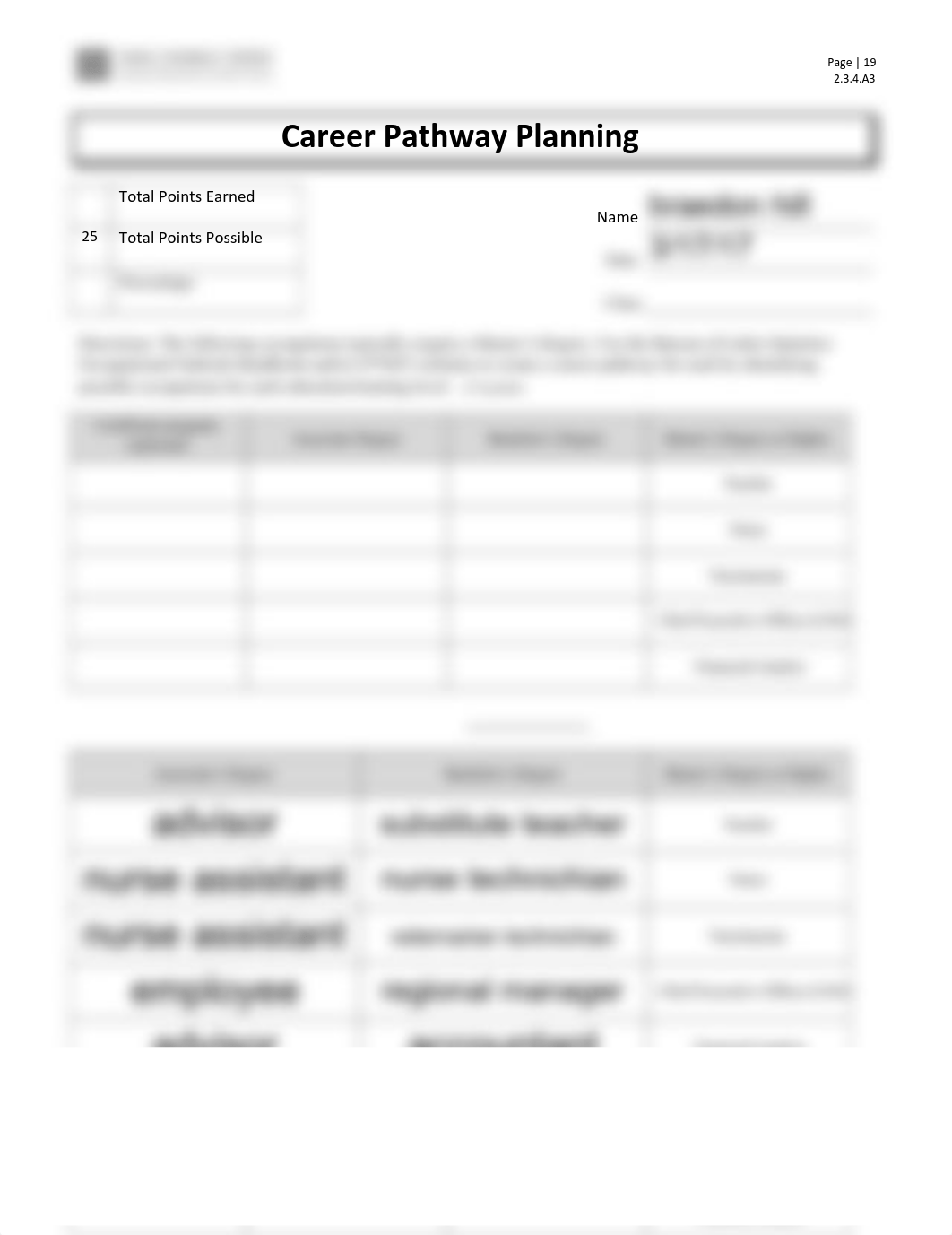 Career_Pathway_Planning_2.3.4.A3_dgst8kxdelb_page1