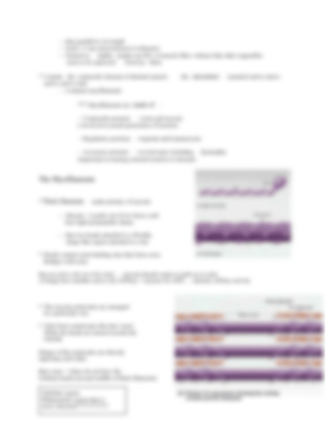 Chapter 11 - Muscular Tissue .pdf_dgt4nfngxl5_page4