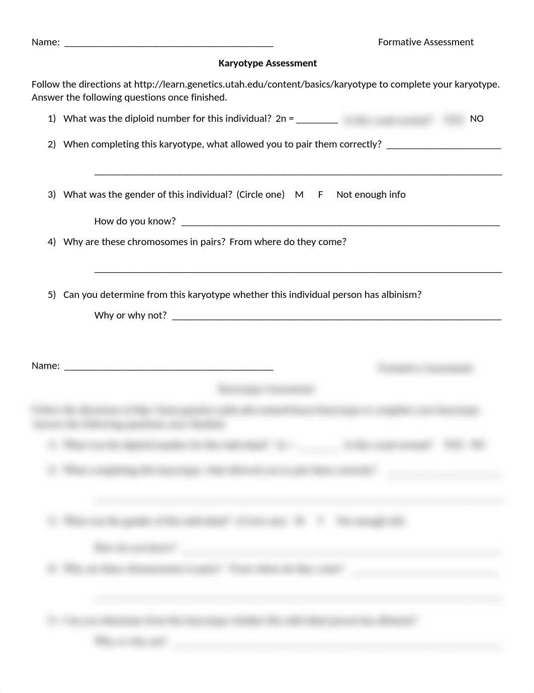 Karyotype_Assessment_(1).docx_dgt8ovxaijq_page1