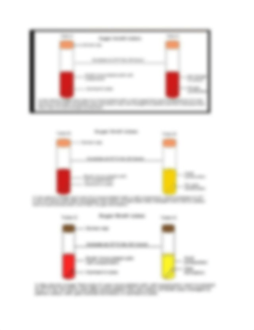 Carbohydrate Fermentation Test.docx_dgt98hpp2s9_page2