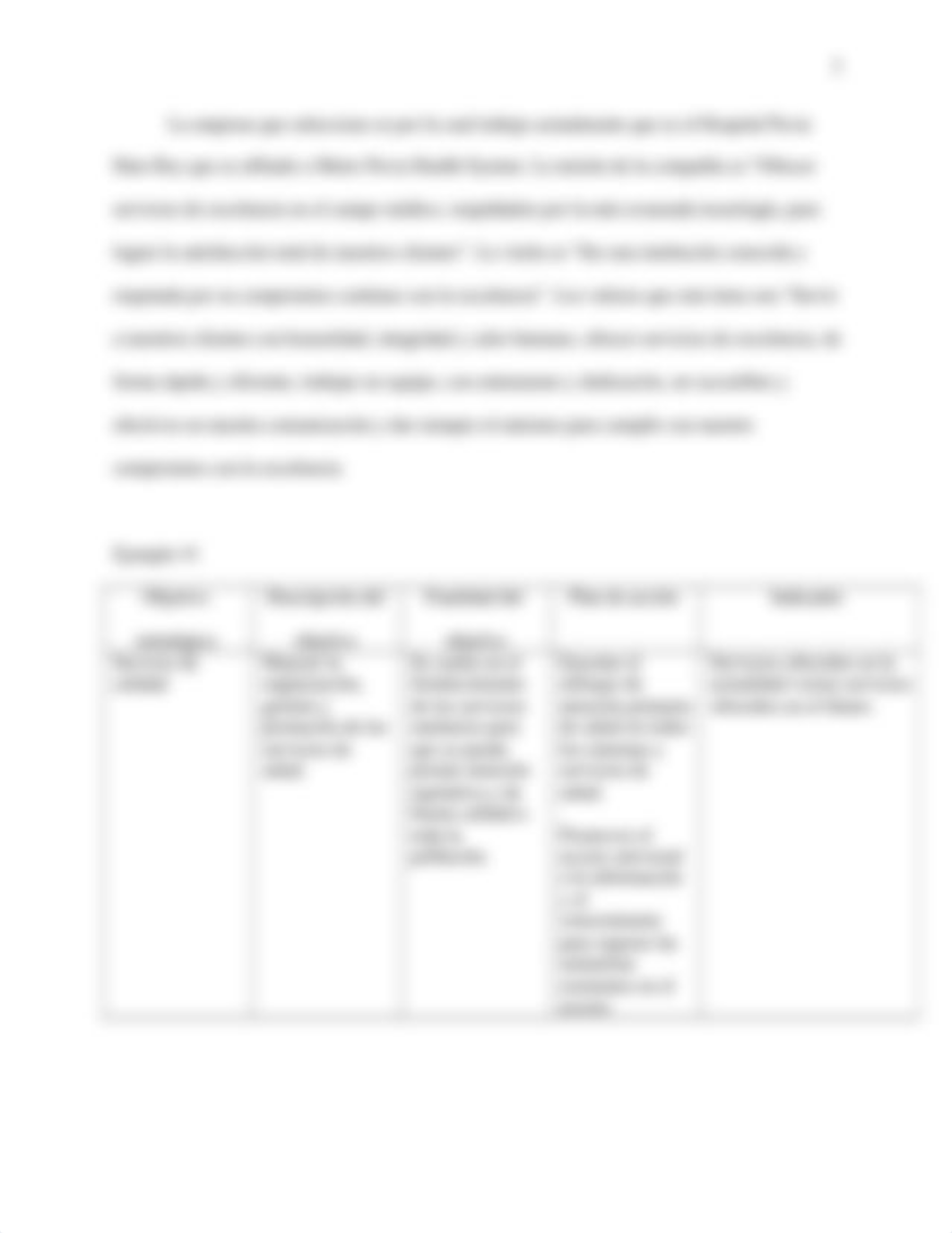 T6.1 Balanced Scorecard MGMT 530.docx_dgtcx4mn7z1_page3