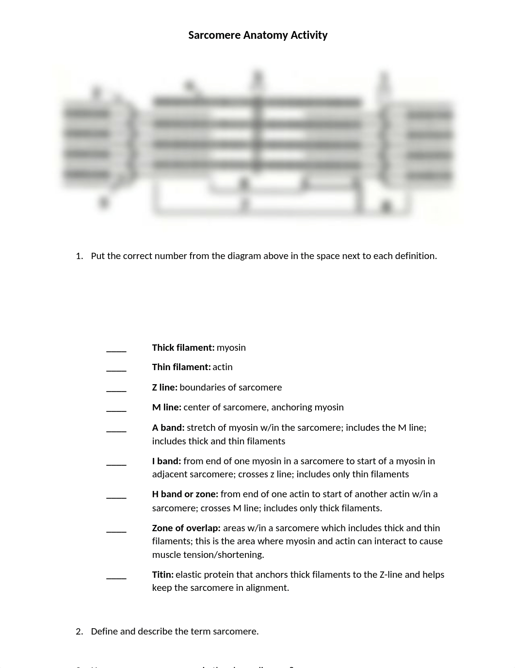 Sarcomere Worksheet (1).docx_dgte7drbbif_page1