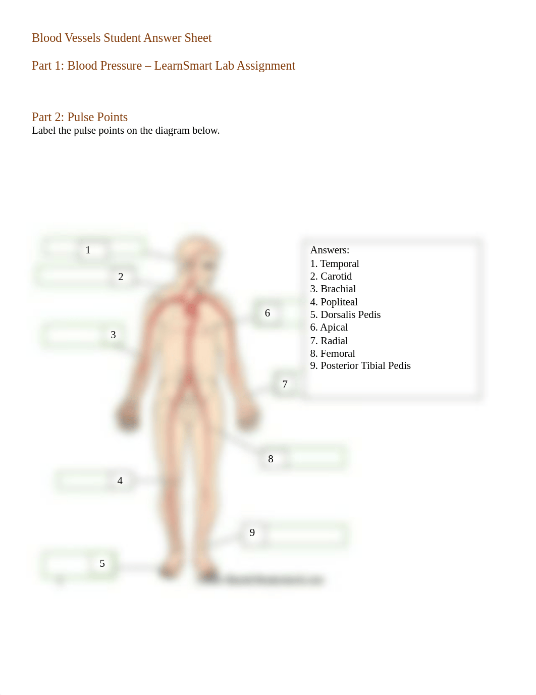 Blood Vessels Student Answer Sheet online version.docx_dgtedg11w4f_page1