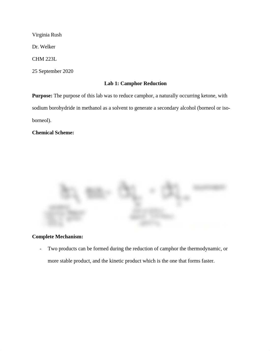 CHM 223 Lab Report 1.docx_dgtizuwv3oe_page1