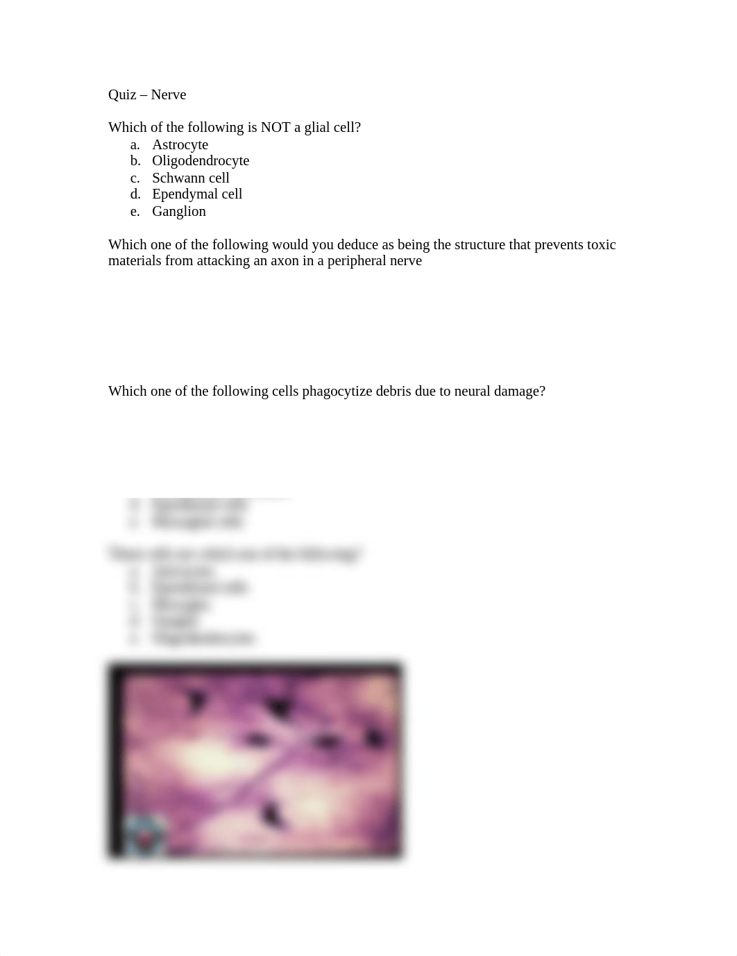 Quiz-Nerve_dgtlnqjjf66_page1