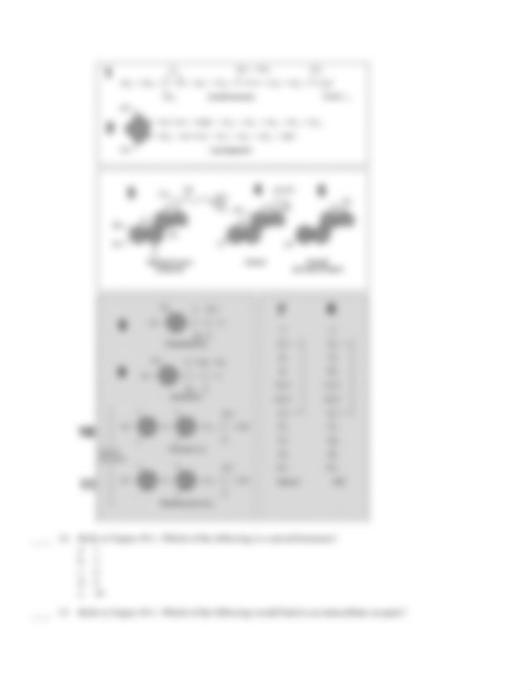 BIOL 1108K Endocrine Study Guide.pdf_dgtqjxsyuc7_page3