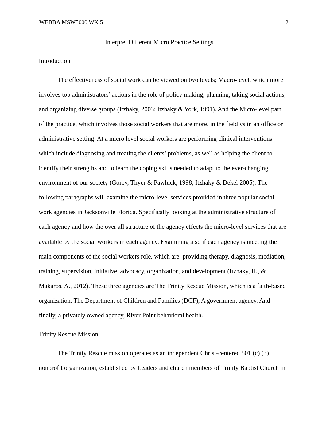 webbaMSW5000WK5.docx_dgu1q1afb87_page2