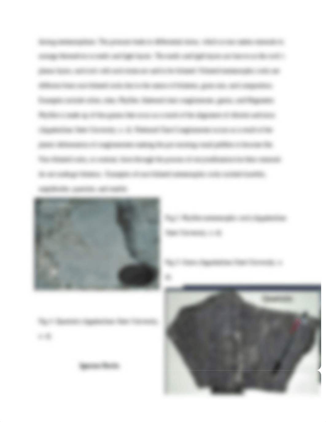 Geology Essay.docx_dgu3czsxxhf_page3