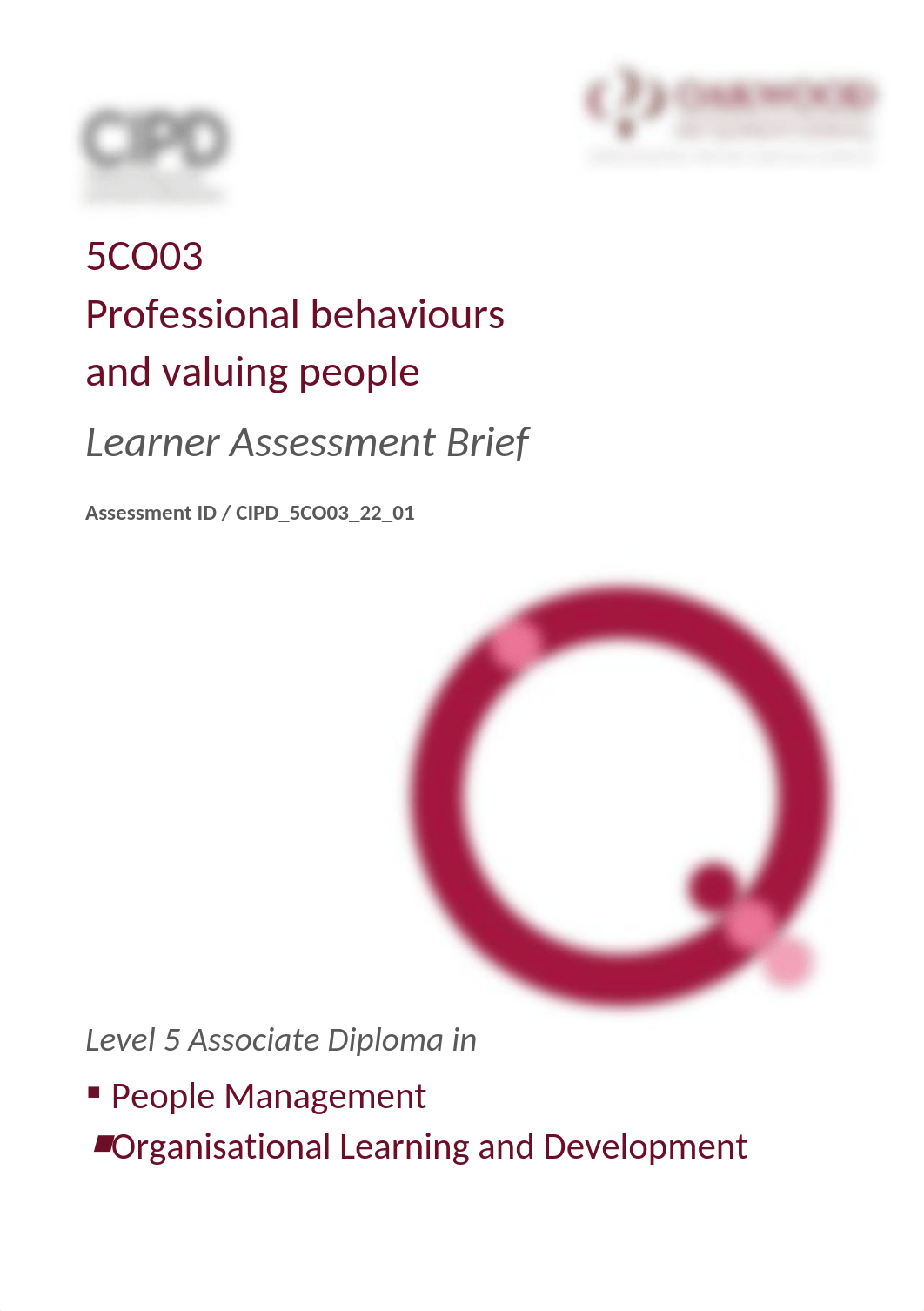 NEW 5CO03 Professional Behaviours and Valuing People - Learner Assessment Brief (2).docx_dguiaj5qpu3_page1