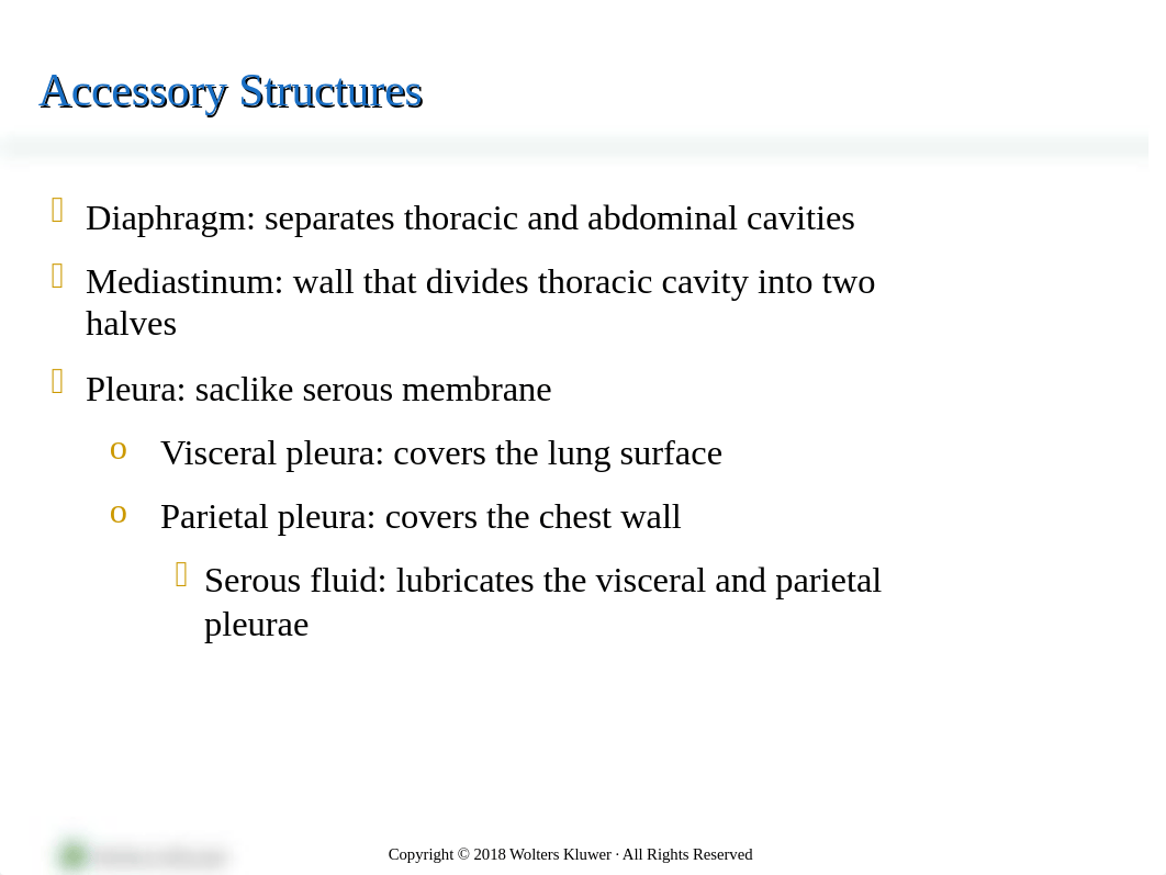 Respiratory Textbook PowerPoint A-P Upper and Lower.pptx_dgurp2uedz7_page3