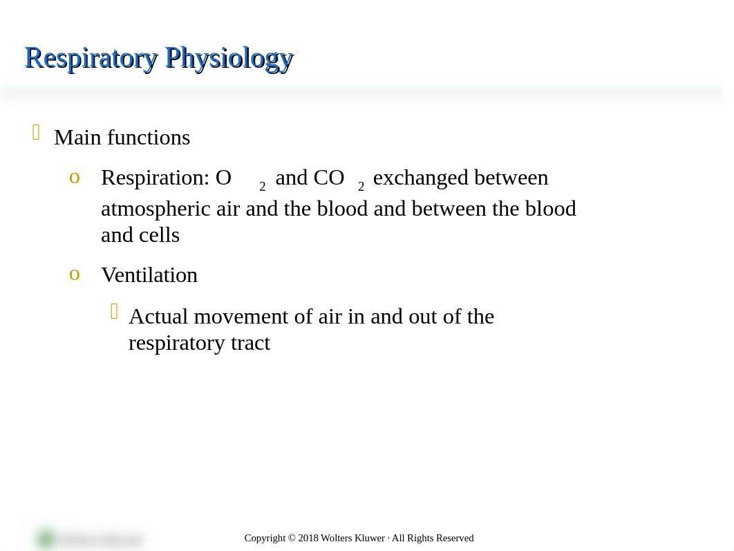 Respiratory Textbook PowerPoint A-P Upper and Lower.pptx_dgurp2uedz7_page4