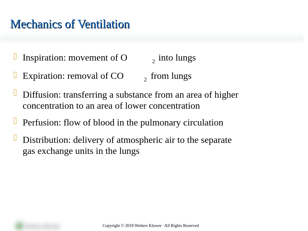 Respiratory Textbook PowerPoint A-P Upper and Lower.pptx_dgurp2uedz7_page5