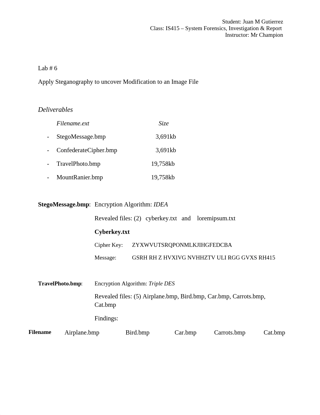 Lab#6-output(steganography)_dguwtoegqth_page1