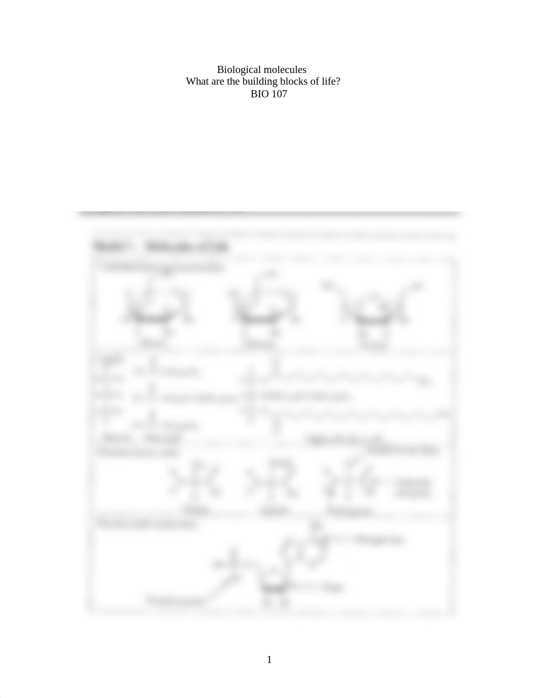 Ch. 5 Biological molecules.docx_dgv0bu1ik2t_page1