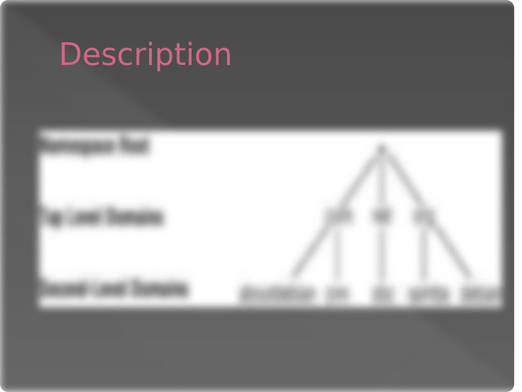 WEEK 3- NetworkProtocols Overview(1).pptx_dgvbrd5gwou_page3