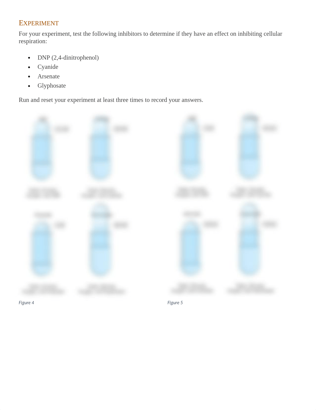 Module 3- Interactive Lab.docx_dgvev2j5lrt_page2