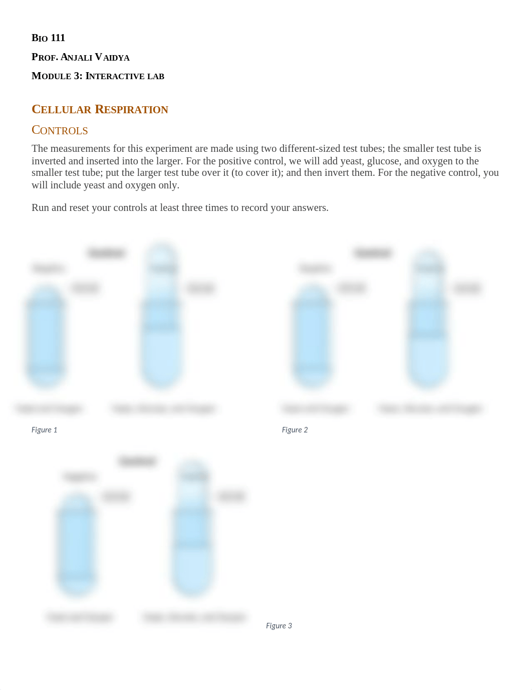 Module 3- Interactive Lab.docx_dgvev2j5lrt_page1