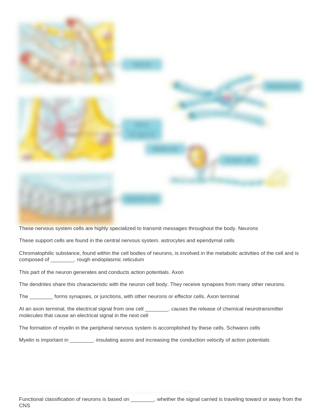 section 3 questions.docx_dgvy1cz9rrz_page2