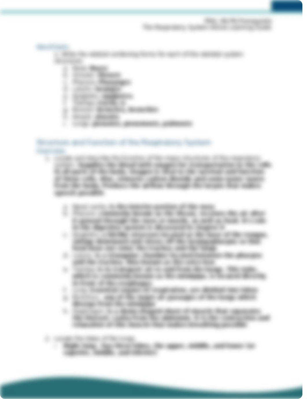 Respiratory System Active Learning Guide.docx_dgvynn30n81_page2